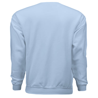 LIGHT BLUE - BACK