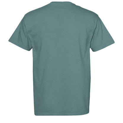 ICE BLUE - C1717 - BACK