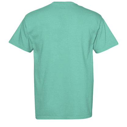 CHALKY MINT - C1717 - BACK